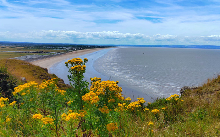 Guided Walks
